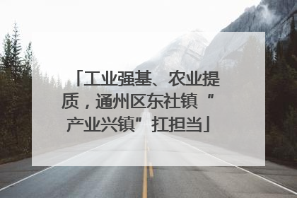 工业强基、农业提质，通州区东社镇“产业兴镇”扛担当