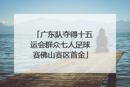 广东队夺得十五运会群众七人足球赛佛山赛区首金