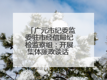广元市纪委监委驻市经信局纪检监察组：开展集体廉政谈话 敲响廉政警钟