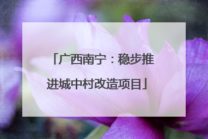 广西南宁：稳步推进城中村改造项目