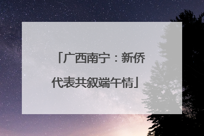 广西南宁：新侨代表共叙端午情