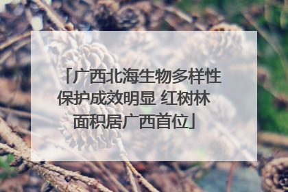 广西北海生物多样性保护成效明显 红树林面积居广西首位