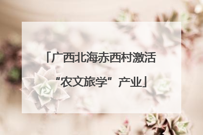 广西北海赤西村激活“农文旅学”产业