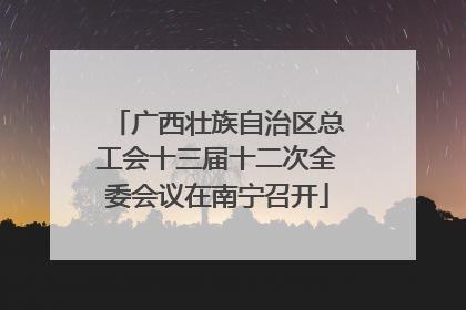 广西壮族自治区总工会十三届十二次全委会议在南宁召开