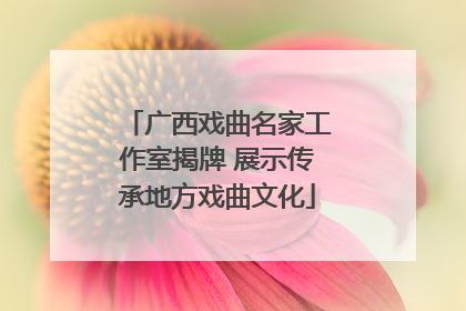 广西戏曲名家工作室揭牌 展示传承地方戏曲文化