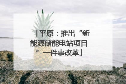 平原：推出“新能源储能电站项目”一件事改革