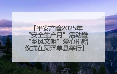 平安产险2025年“安全生产月”活动暨“乡风文明”爱心捐赠仪式在菏泽单县举行