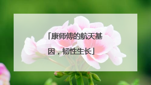 康师傅的航天基因，韧性生长
