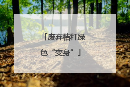 废弃秸秆绿色“变身”