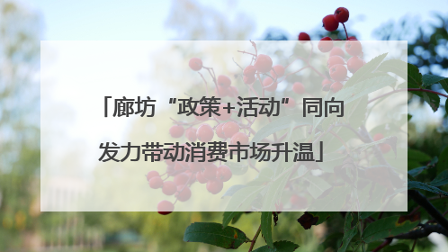 廊坊“政策+活动”同向发力带动消费市场升温