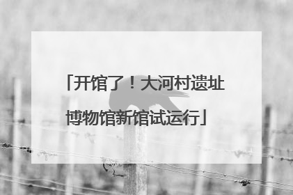 开馆了！大河村遗址博物馆新馆试运行