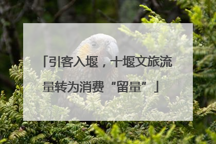 引客入堰，十堰文旅流量转为消费“留量”