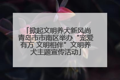 掀起文明养犬新风尚 青岛市市南区举办“宠爱有方 文明相伴”文明养犬主题宣传活动