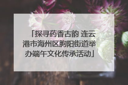 探寻药香古韵 连云港市海州区朐阳街道举办端午文化传承活动