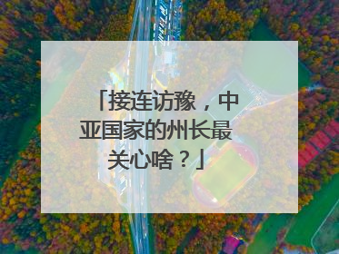 接连访豫，中亚国家的州长最关心啥？