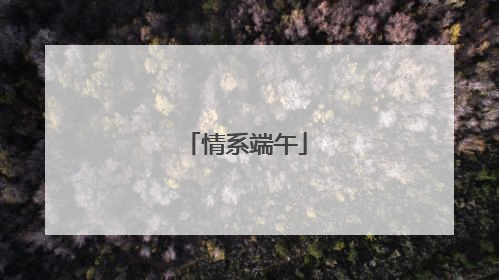 情系端午