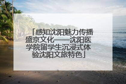 感知沈阳魅力传播盛京文化——沈阳医学院留学生沉浸式体验沈阳文旅特色