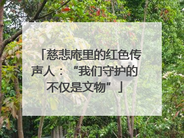 慈悲庵里的红色传声人：“我们守护的不仅是文物”