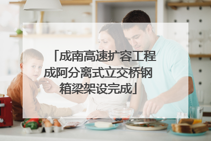 成南高速扩容工程成阿分离式立交桥钢箱梁架设完成