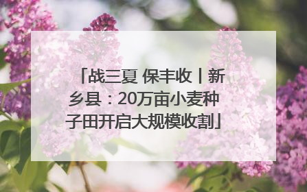 战三夏 保丰收丨新乡县：20万亩小麦种子田开启大规模收割