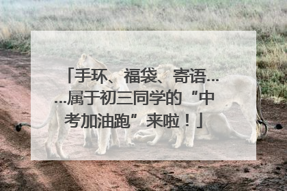 手环、福袋、寄语……属于初三同学的“中考加油跑”来啦！