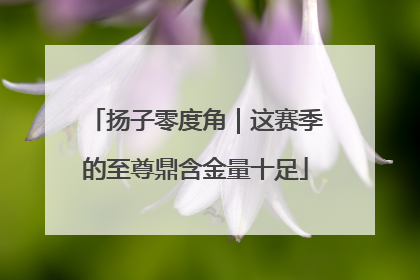 扬子零度角｜这赛季的至尊鼎含金量十足