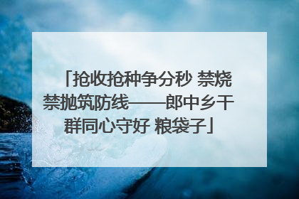 抢收抢种争分秒 禁烧禁抛筑防线——郎中乡干群同心守好 粮袋子
