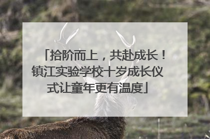 拾阶而上，共赴成长！镇江实验学校十岁成长仪式让童年更有温度