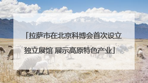 拉萨市在北京科博会首次设立独立展馆 展示高原特色产业