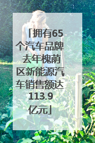 拥有65个汽车品牌 去年槐荫区新能源汽车销售额达113.9亿元