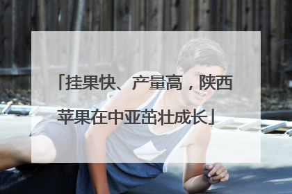 挂果快、产量高，陕西苹果在中亚茁壮成长