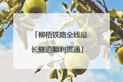 柳梧铁路全线最长隧道顺利贯通