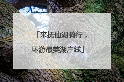 来抚仙湖骑行，环游最美湖岸线