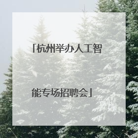 杭州举办人工智能专场招聘会