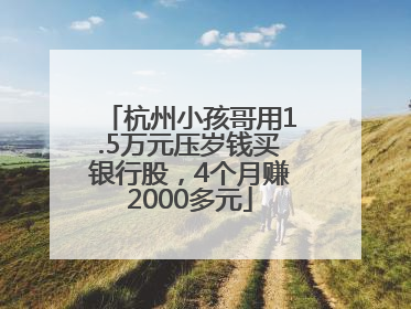 杭州小孩哥用1.5万元压岁钱买银行股，4个月赚2000多元