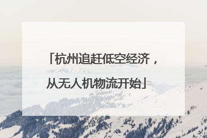 杭州追赶低空经济，从无人机物流开始