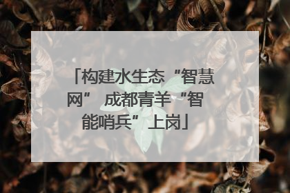 构建水生态“智慧网” 成都青羊“智能哨兵”上岗