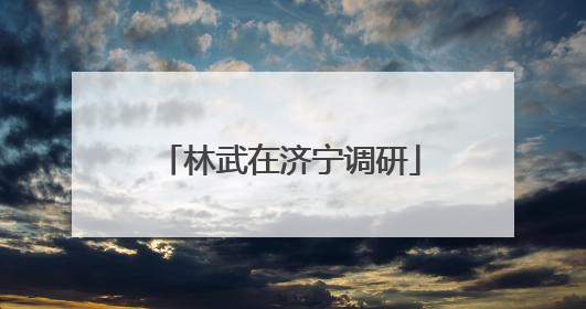 林武在济宁调研