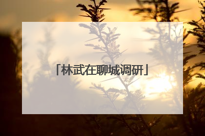 林武在聊城调研
