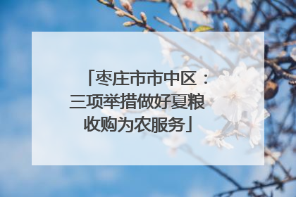 枣庄市市中区：三项举措做好夏粮收购为农服务