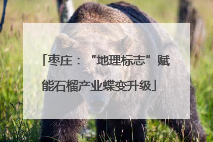 枣庄：“地理标志”赋能石榴产业蝶变升级