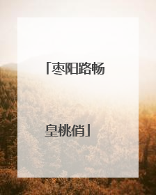 枣阳路畅皇桃俏