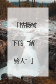 枯杨树下的“解铃人”