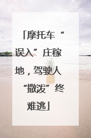摩托车“误入”庄稼地，驾驶人“撒泼”终难逃