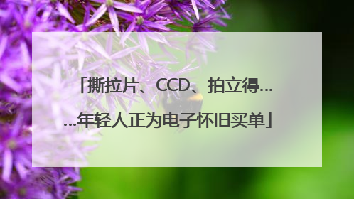 撕拉片、CCD、拍立得……年轻人正为电子怀旧买单
