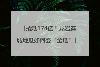 撬动174亿！龙岩连城地瓜如何变“金瓜”