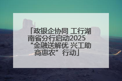 政银企协同 工行湖南省分行启动2025“金融送解优 兴工助商惠农”行动