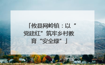 攸县网岭镇：以“党建红”筑牢乡村教育“安全绿”