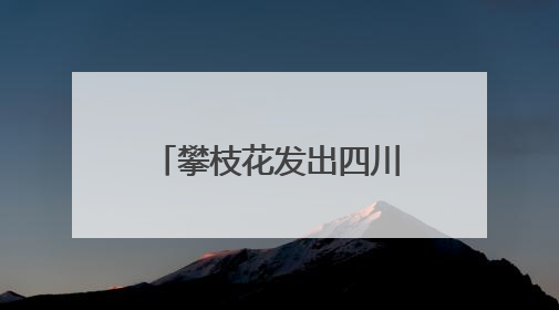 攀枝花发出四川首张“户籍人口直系亲属关系谱”