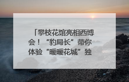 攀枝花馆亮相西博会！“豹局长”带你体验“暖暖花城”独特魅力｜西博视界